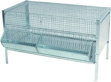 gabbia-pieghevole-per-pulcini-cardinale