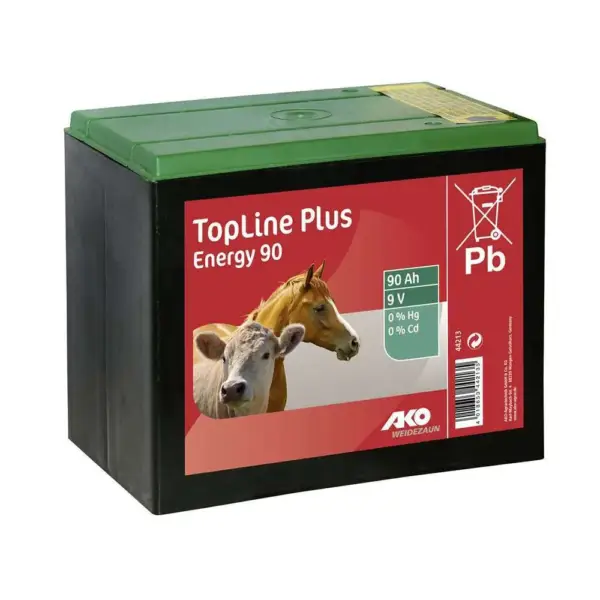 batteria-a-secco-per-elettrificatori-9v