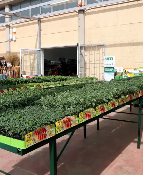 Immagine della categoria