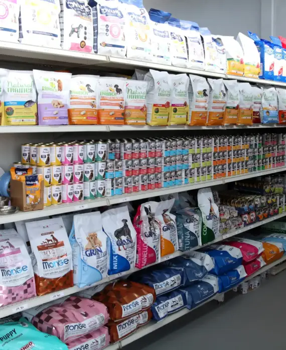 Immagine della categoria