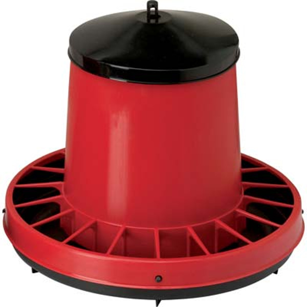 mangiatoia-a-tramoggia-contro-fratelli